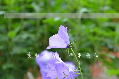 贷款逾期 刑事责任